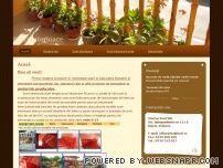 Scari interioare