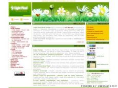 Light Pixel Web Design