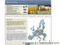 Fonduri europene, structurale si nerambursabile
