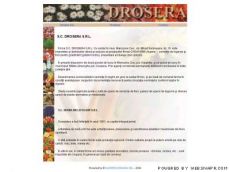 Drosera