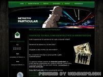 Detectivi Particulari