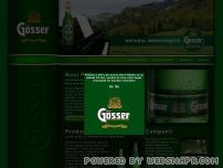 Gosser.ro