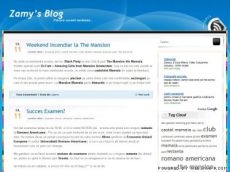 Zamy's Blog