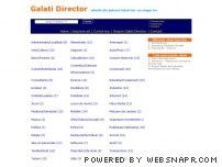 Director Web