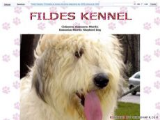 Azara de Fildeş