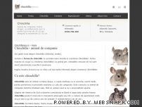 Chinchilla - animal de companie. www.chinchillamea.ro