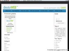 DIRECTOR WEB - Noi va promovam siteul GRATIS