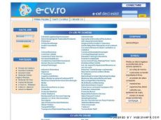 curriculum vitae
