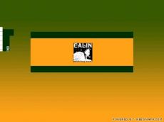 Editura Calin
