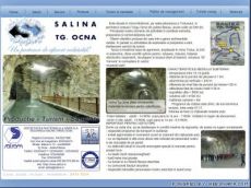 Salina Târgu Ocna