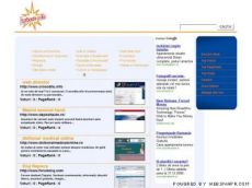web director