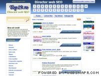 Director web seo