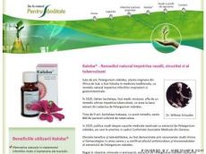 Kaloba - Remediul natural impotriva racelii, sinuzitei si al tuberculozei