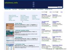 web director
