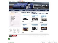 Tuning Fan - Pentru Cei Pasionati