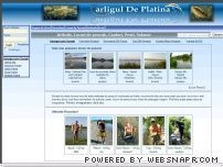 Carligul de platina