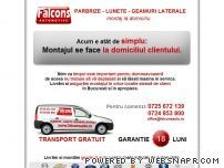 Parbrize auto