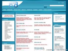 custom design | director web