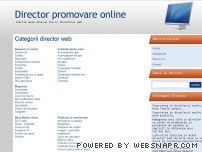 Director promovare online