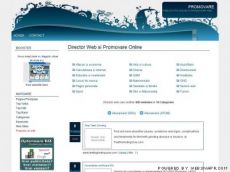 Promovare Site, Director Publicitate Online