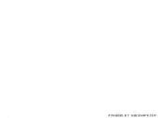 Director web seo