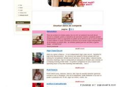 Director web romanesc