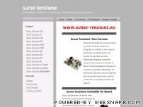 Surse Tensiune Curent Alimentare DC-AC in Comutatie