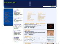 web director