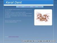 Tehnica Dentara KeralDent