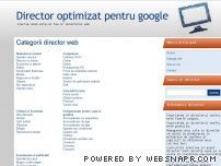 Director optimizat pentru google
