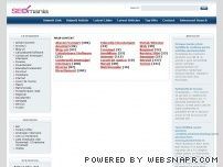 director web romanesc seo