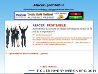 Afaceri profitabile