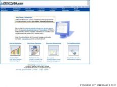 Profitabil E-business