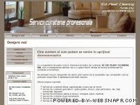 Servicii curatenie Cluj