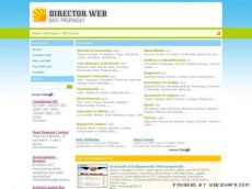 Director Web - SEO Friendly