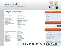 Director web simplu