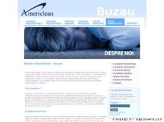 Firme Curatenie Buzau