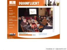 Proinfluent - training si recrutare