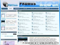 Director Web Promus