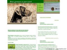 Brac german cu par scurt