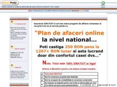 Plan de Afaceri Online Nationale