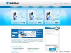 Web design profesional