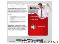 Training si consultanta