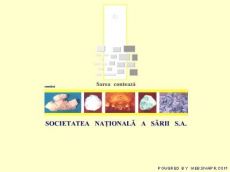 Societatea Naţională a Sării S.A