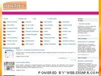 Director IndexMedia