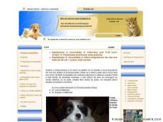 Freida vet - Ambulanta veterinara