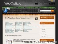 Director Web Gratuit