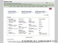 Director web Afix