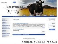 Vaci rasa holstein