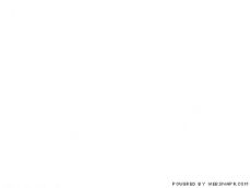 SoftNs - Director It